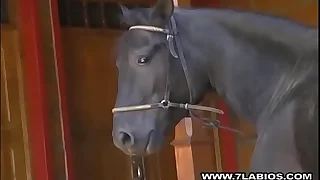 3151 porn porn videos