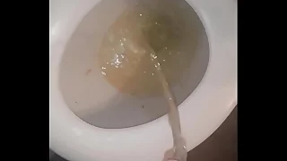 Toilet Piss